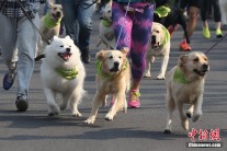 私人藏品岂能不明不白的＂博物馆化＂？